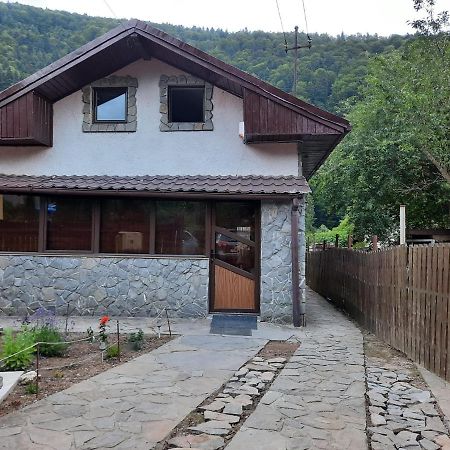 Vila Casa Crissio Sinaia Exteriér fotografie