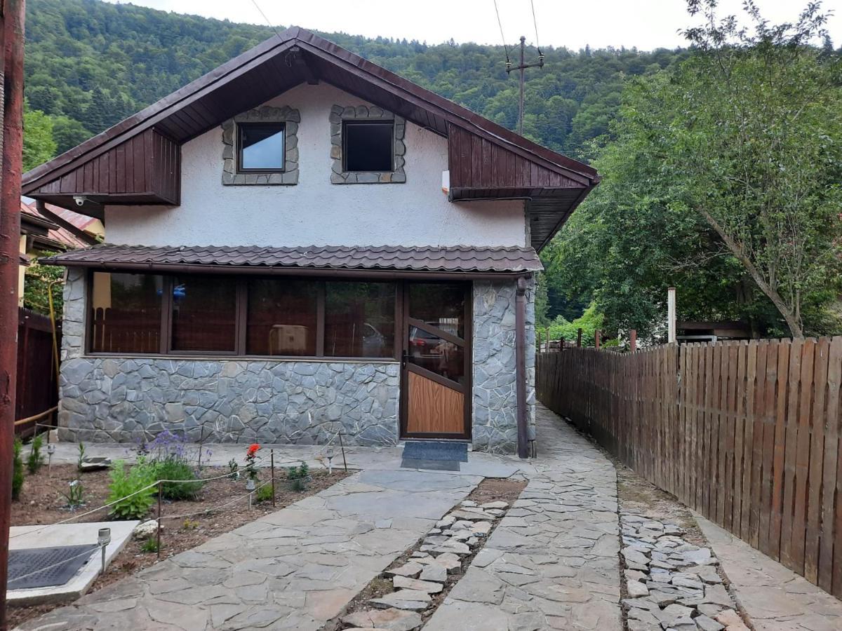Vila Casa Crissio Sinaia Exteriér fotografie